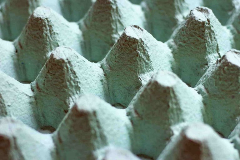 MITOS Y REALIDADES: CARTONES DE HUEVO como TRATAMIENTO ACÚSTICO