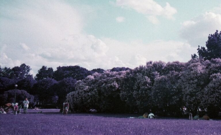  nuevo artista en el centro de atención: K4LT lleva el pop electrónico al punk post (video) |  tu electroerosión