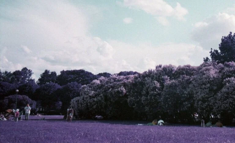 nuevo artista en el centro de atención: K4LT lleva el pop electrónico al punk post (video) | tu electroerosión