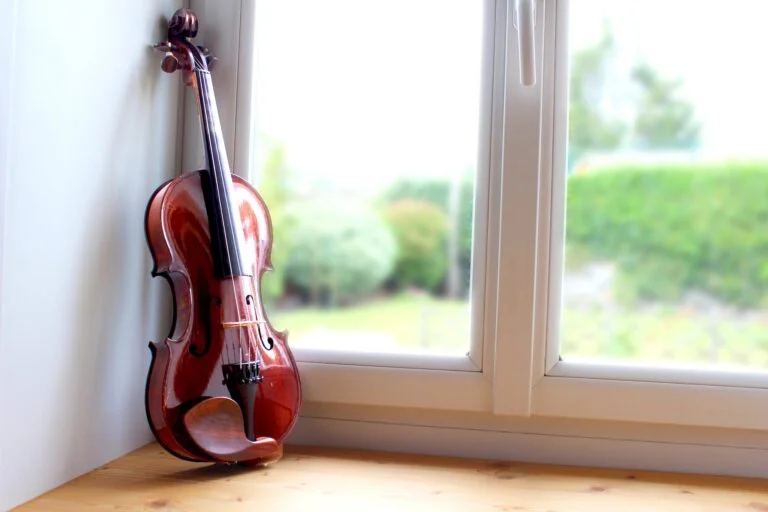 close up shot of a violin